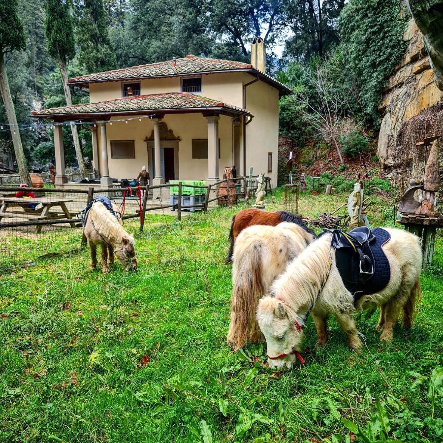 Agriturismo Fattoria Di Maiano Φιέζολε Εξωτερικό φωτογραφία