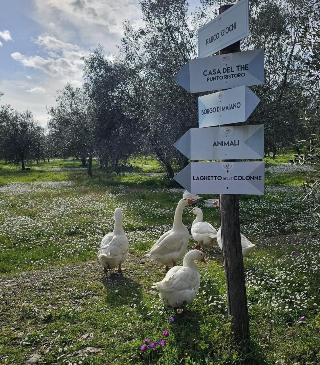 Agriturismo Fattoria Di Maiano Φιέζολε Εξωτερικό φωτογραφία
