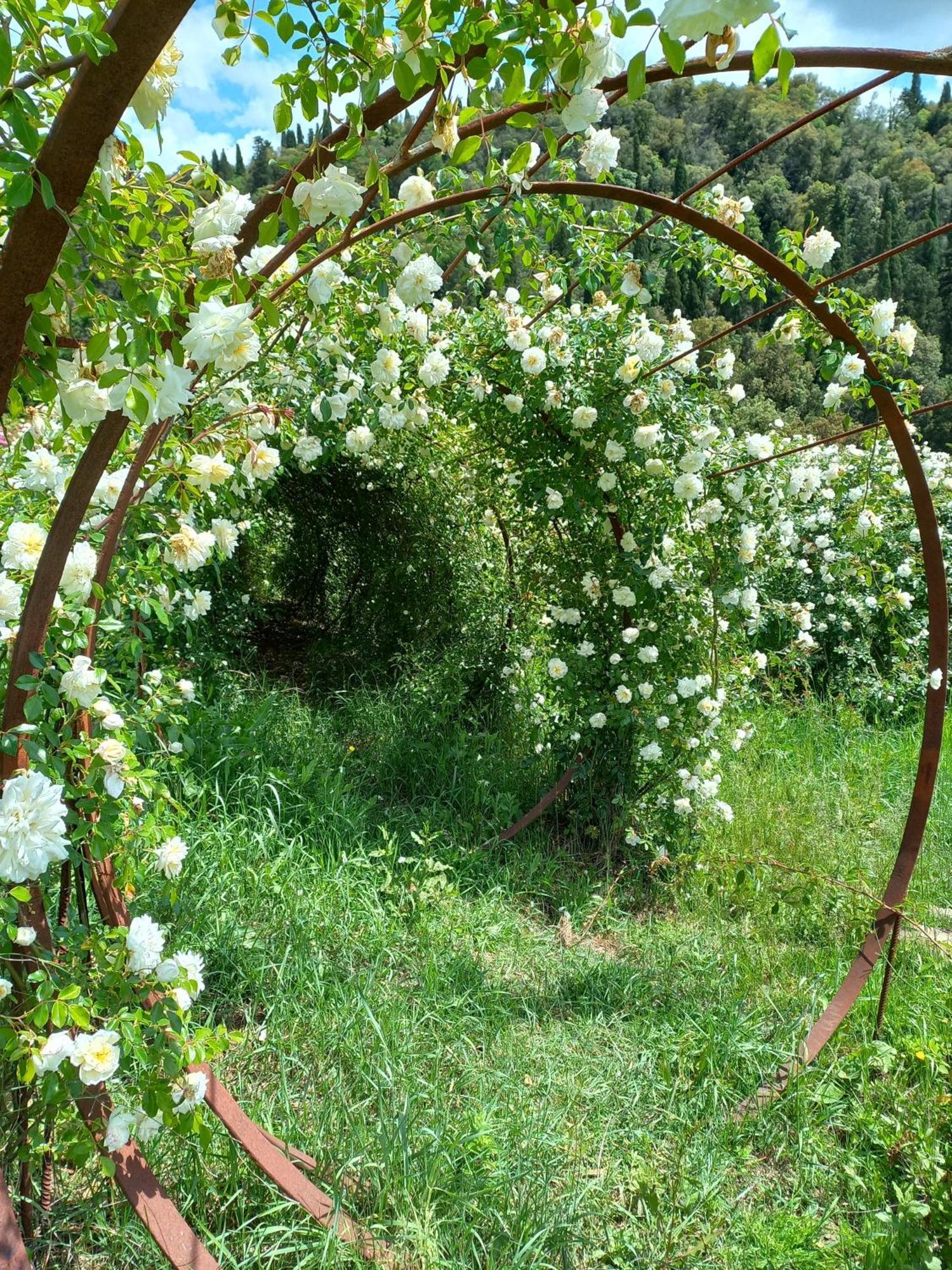 Agriturismo Fattoria Di Maiano Φιέζολε Εξωτερικό φωτογραφία