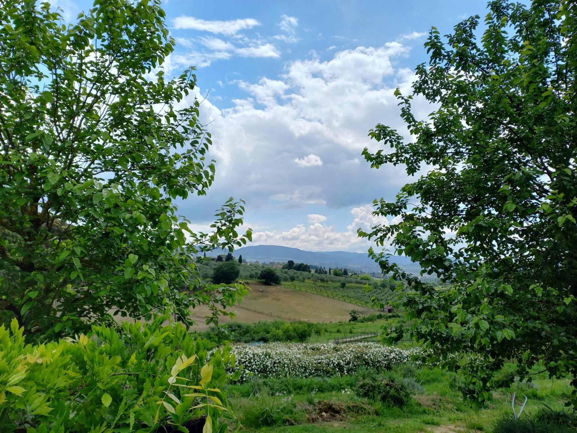 Agriturismo Fattoria Di Maiano Φιέζολε Εξωτερικό φωτογραφία