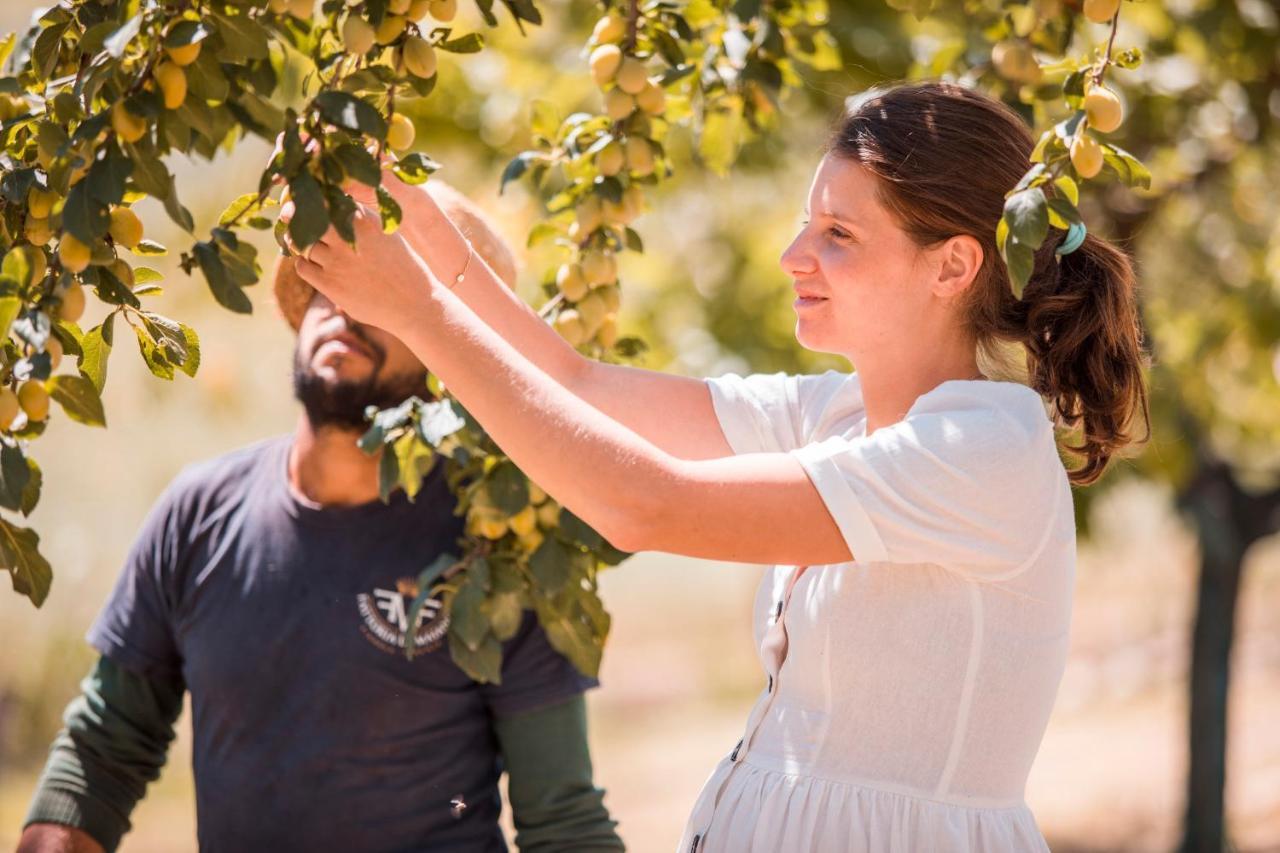 Agriturismo Fattoria Di Maiano Φιέζολε Εξωτερικό φωτογραφία