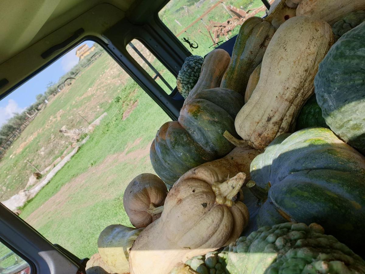 Agriturismo Fattoria Di Maiano Βίλα Φιέζολε Εξωτερικό φωτογραφία